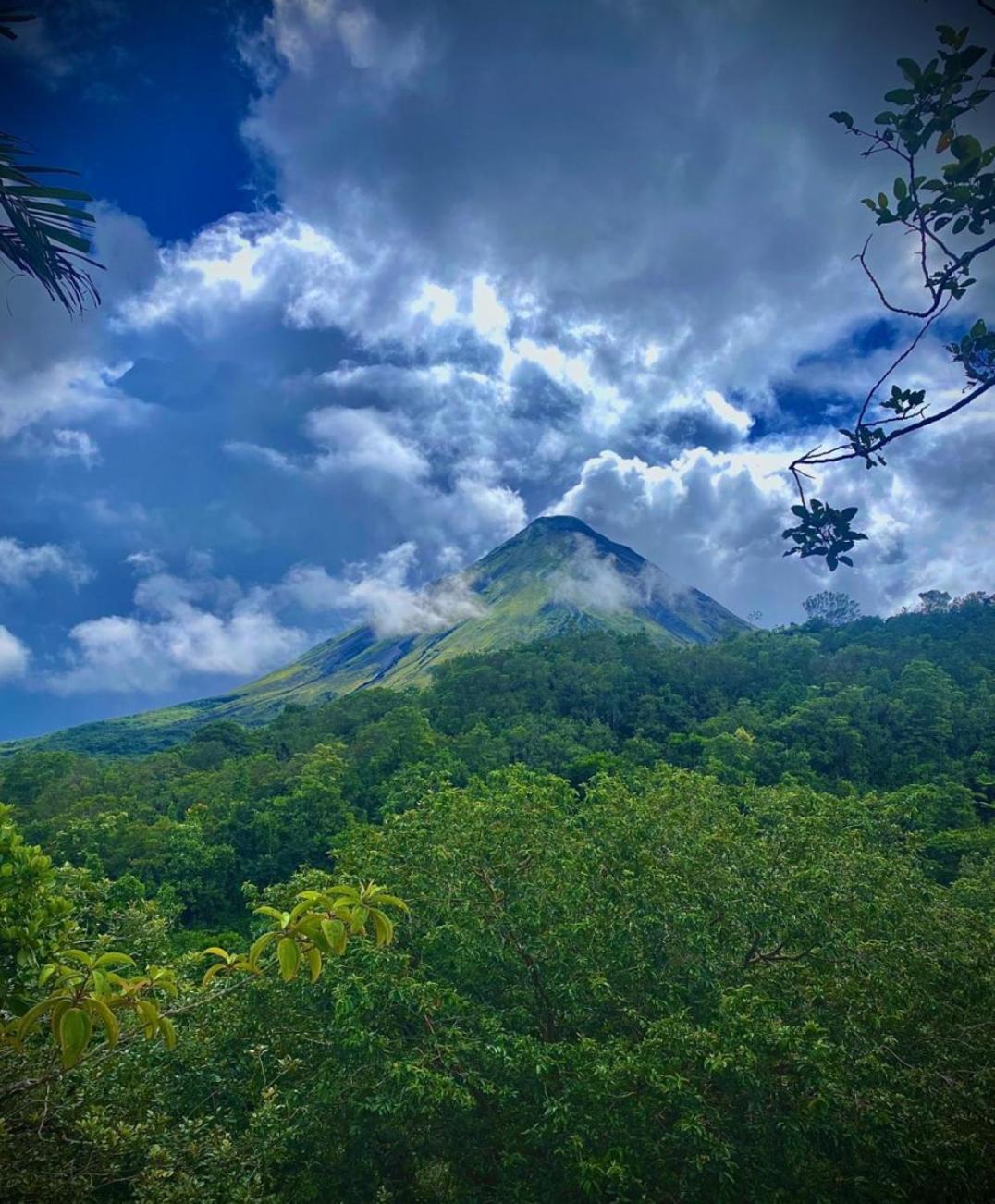 Bungalow Batsu La Fortuna Oda fotoğraf