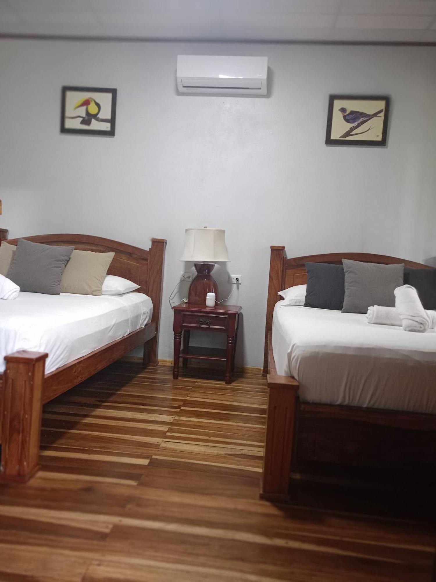 Bungalow Batsu La Fortuna Oda fotoğraf