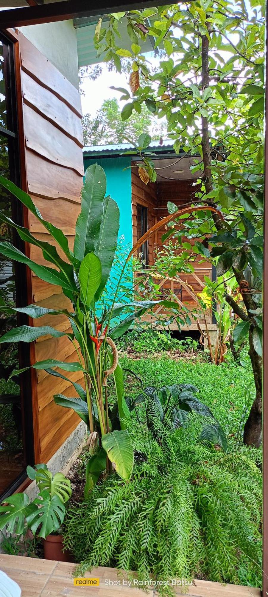 Bungalow Batsu La Fortuna Dış mekan fotoğraf